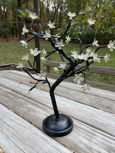 Battery operated lighted - operated,