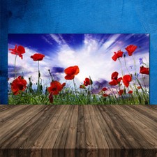 Crédence de cuisine en verre