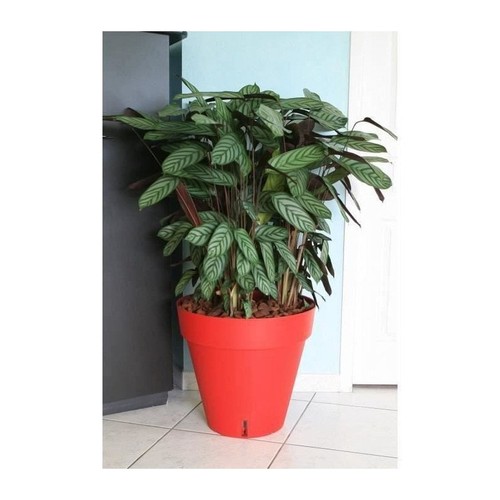 Riviera pot fleurs - pot, loft