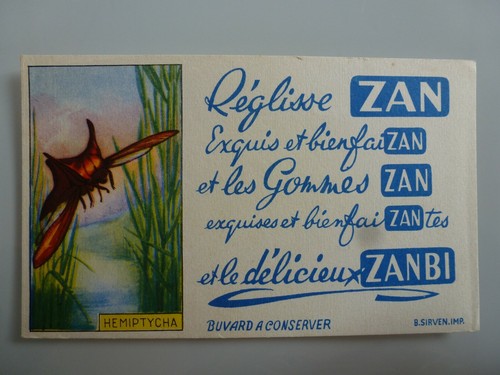 Reglisse zan buvard - zan,