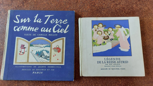 Vol sur terre comme - vol:,