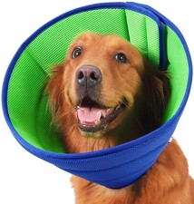 Collerette Chien, Collerette