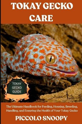 Tokay gecko care guide the - gecko,