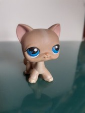 Littlest PET SHOP  Authentic  228 Chat Européen cat Hasbro petshop