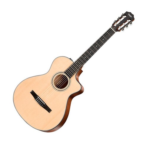 Taylor 312ce nylon - 312ce-n, grand
