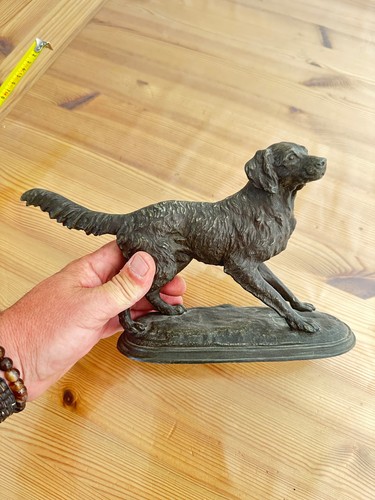 Chien chasse régule - de,