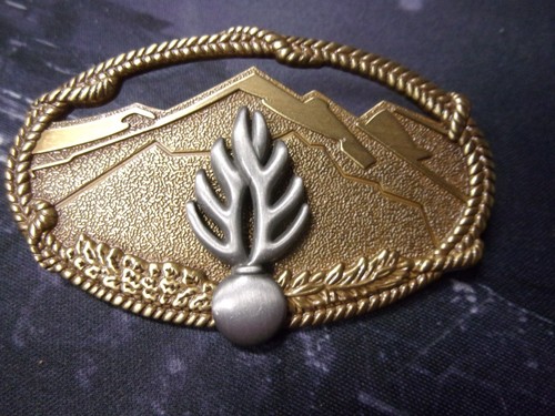 Insigne certificat - insigne,