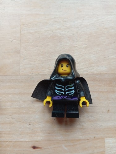Lego ninjago lloyd - lego, :