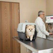 Caisse de transport pour