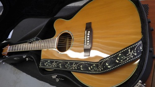 Takamine electric acoustic - electric,