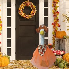 Déguisement dinde oie porche 23 pouces avec bandeau plume et tablier thème