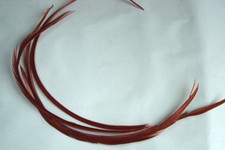 4 x Biot quills d'oie BRUN ROUX montage mouche mosca goose feather brown fly