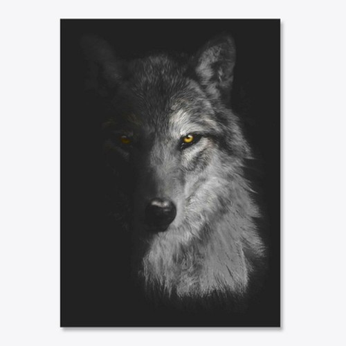 Gray wolf sticker - wolf,
