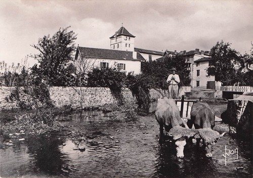 Carte postale postcard - , 10x15cm