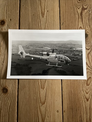 Gazelle photo 8 - photo, x