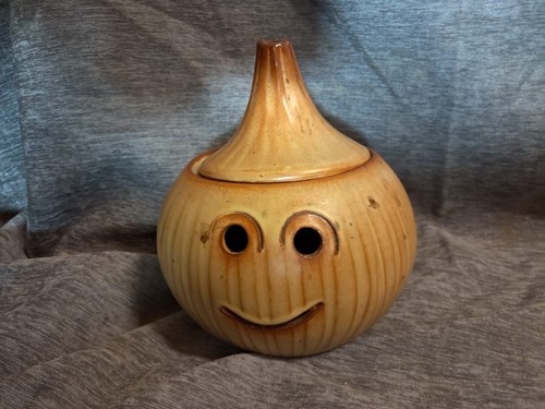 Pot oignons terre cuite - pot, d'oignons