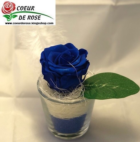 Rose éternelle bleu - , dans