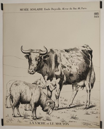 Vache mouton circa - et, le