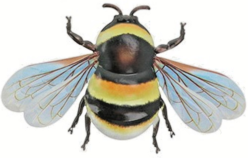 Animal crackers metal bee - crackers,