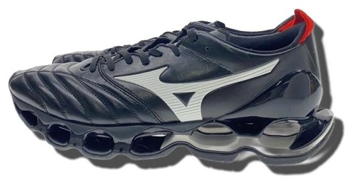 Mizuno wave prophecy morelia - mizuno,