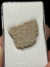 0.78" /2,8 cm - Coquille