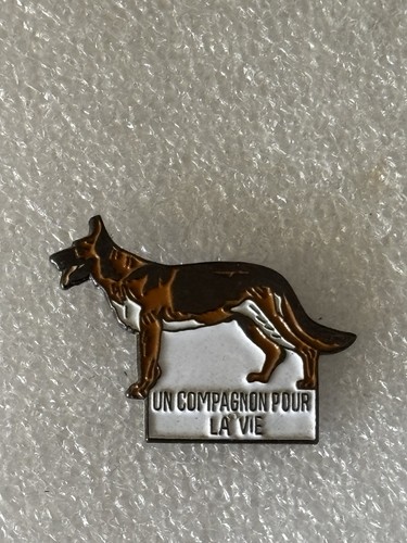 Pin chien compagnon - un,