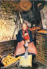 Carte postale 10cmX15cm DORDOGNE Scène et Types gaveuse d'oie timbrée 1970