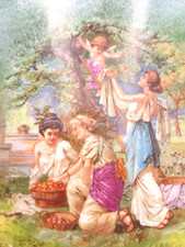 GRAND ET BEAU PLAT EN