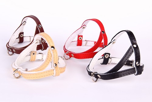 Cuir véritable chien harnais - cuir,