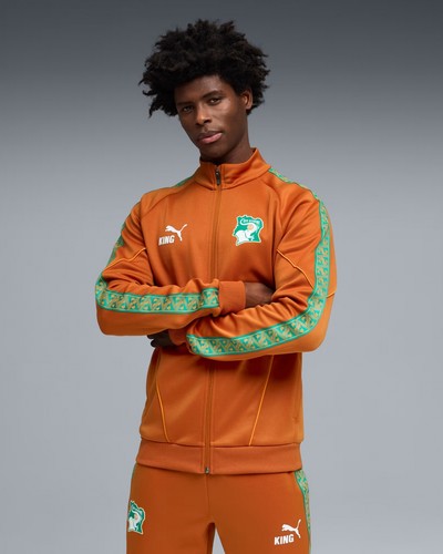 Côte ivoire puma jacquet - d,