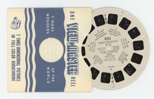 Woody Woodpecker Dans Le Pony