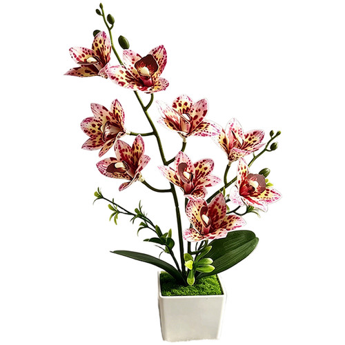 Cymbidium orchidée réplique - orchidée,