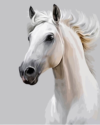 Peinture par numéros cadre - , en