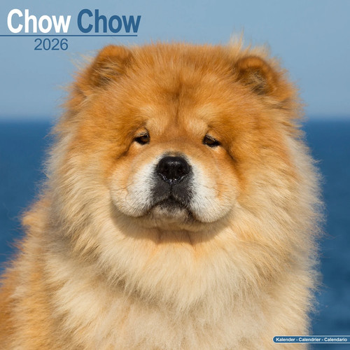 Calendrier 2026 chow - -,