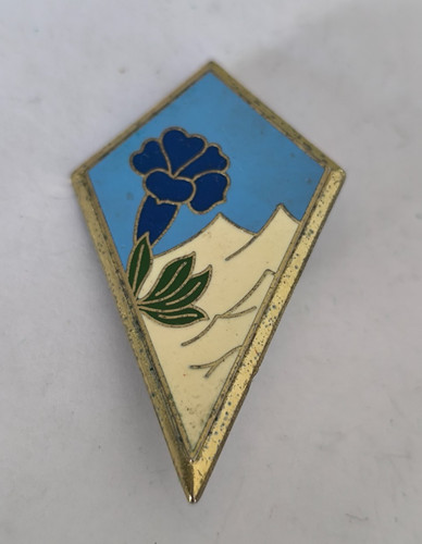 Insigne division - insigne,