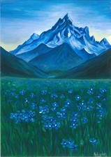 CHILI , fleurs du désert