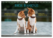Le basenji (Calendrier mural 2026 DIN A4 horizontal), CALVENDO calendrier mensue