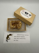 Vertèbre de Spinosaure