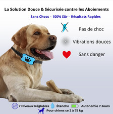 Collier Anti Aboiement Chien Rechargeable Dressage Automatique Réglable Sécurité
