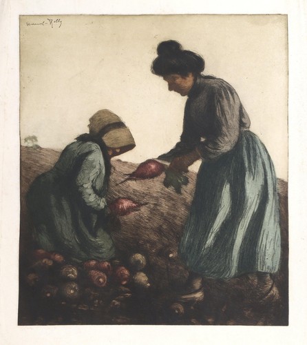 Manuel robbe récolte - robbe,,