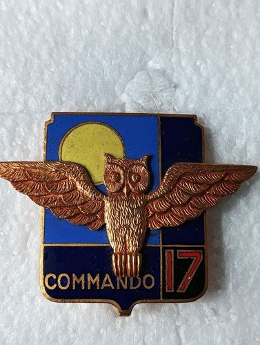 Insignes militaires commando - insignes,