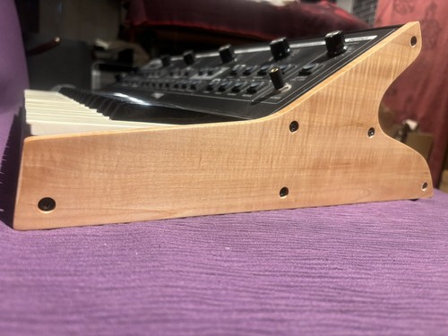 Moog sub phatty - moog, little