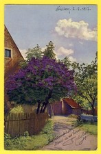 cpa Photochromie ALLEMAGNE