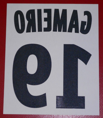 Flocage officiel gameiro - gameiro, n°19
