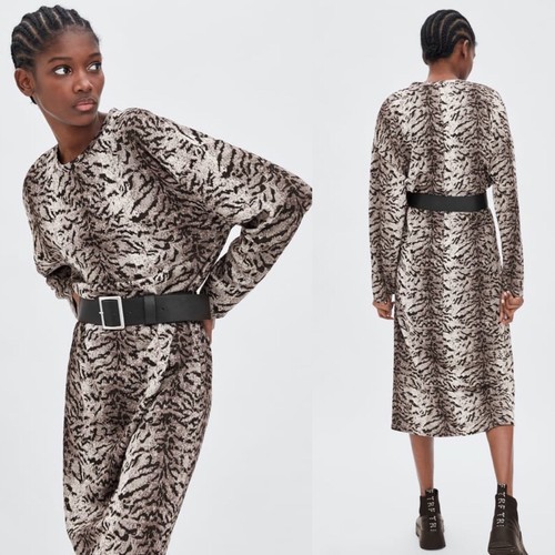 Zara belted zebra animal - belted,