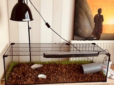 Terrarium 100x30x40 en verre