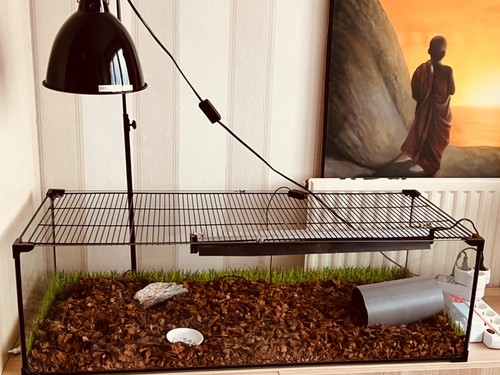 Terrarium 100x30x40 verre - 100x30x40,