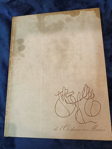 Livre dans les mains - or,