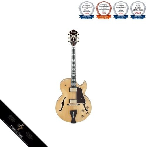 Guitare acoustique complète