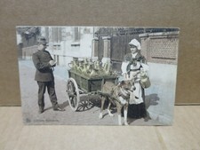 BELGIQUE attelage de chiens laitière gendarme contravention gros plan